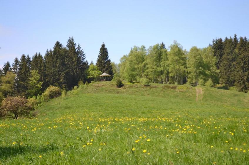 Ferienwohnung Stern - Harz Wildemann - foto 34