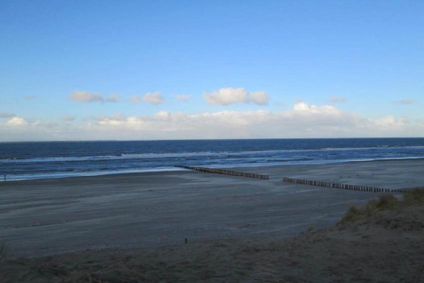 Boomhiemke - foto 15