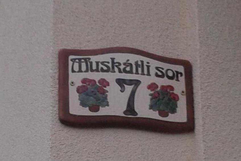 Klimatisiertes Ferienhaus in Bükfürdö mit Garten - foto 9