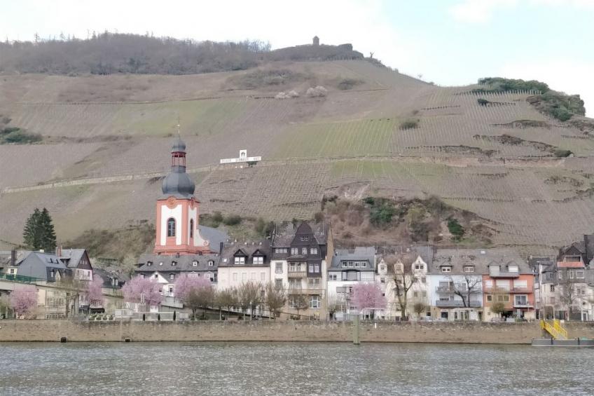 Wohnung in einem historischen Gebäude mit Balkon und Blick auf die Mosel - foto 35