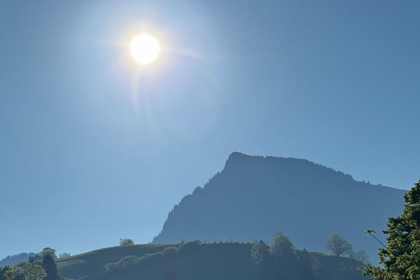 Zwinglis Fewo Klärli - foto 11