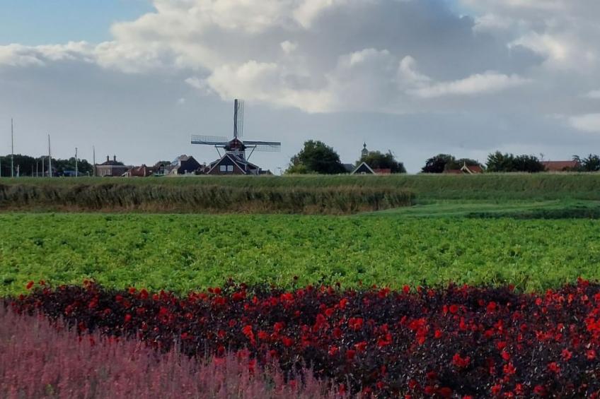 Buurtweg 75 - foto 34