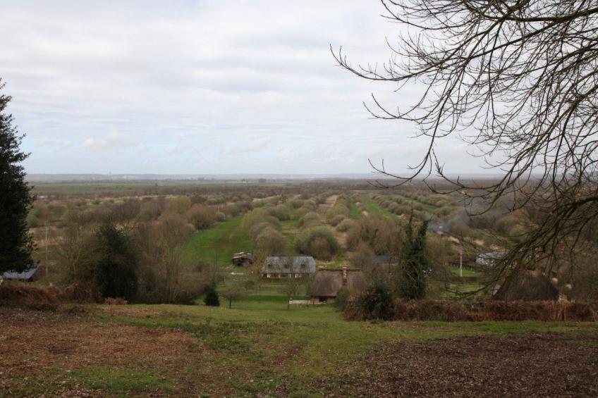 "L'Etable d'Emile" (Stall von Emile) - foto 29