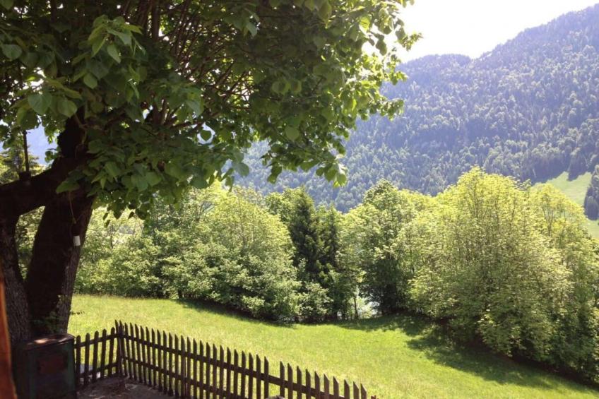 Heidi Chalet - foto 36