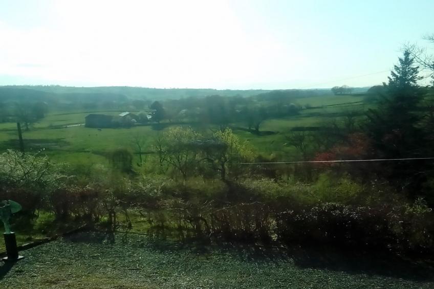 Le Bon Sentiment - foto 40