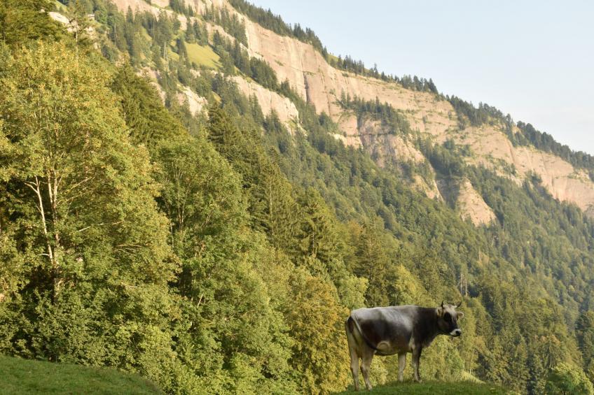 Mountain Nature Stay - foto 15