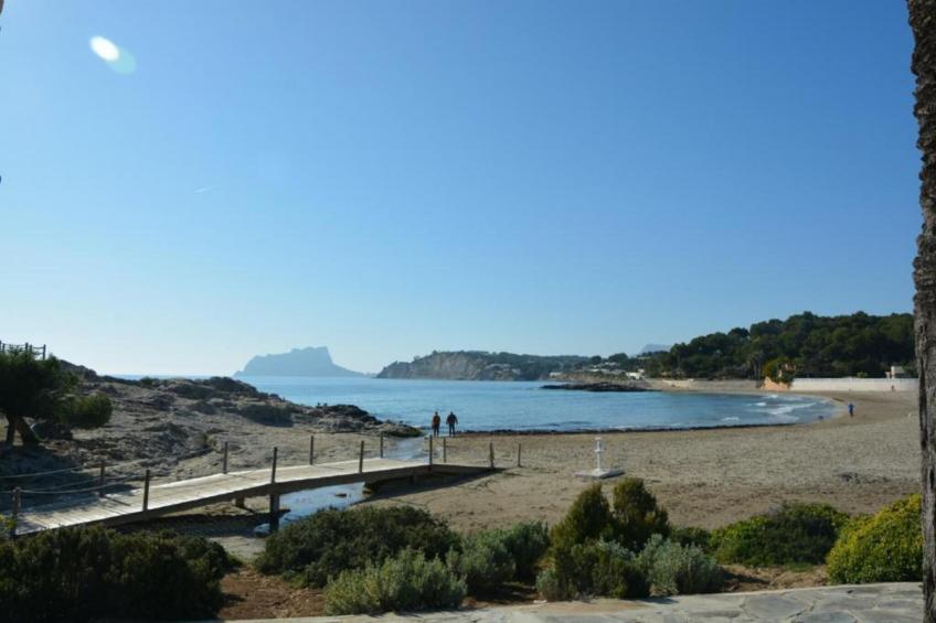 Casa Camelias - foto 37