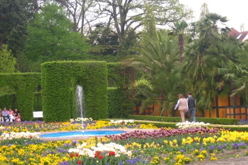 Haus Herdlitschke - foto 22