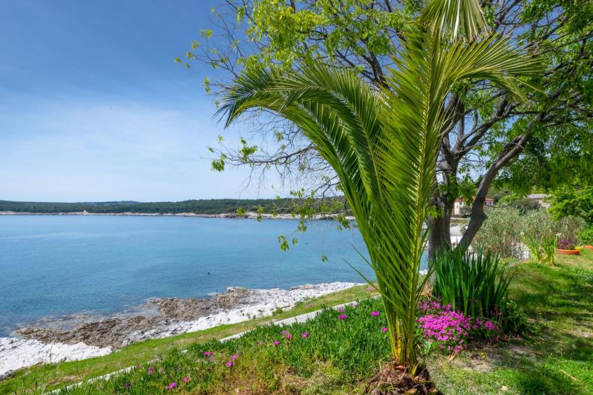 Sea apartment - foto 4