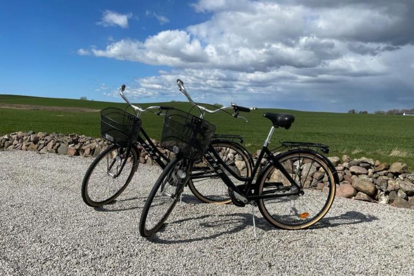 Fewo Albatross - foto 17