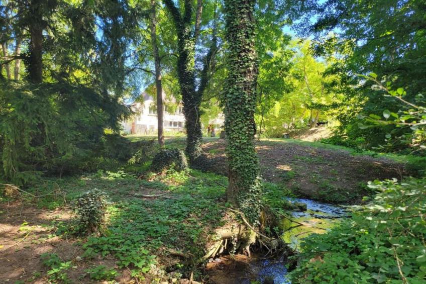 La Coquette - foto 36