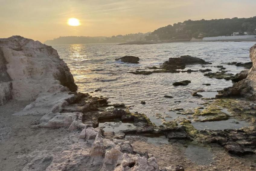 Finca Caballo Verde - foto 37