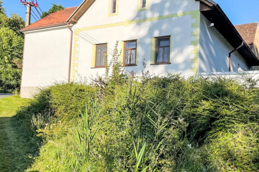 Forrest Haven Vodice