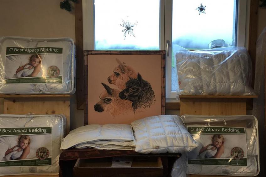 Alpakahof Ferien - foto 34