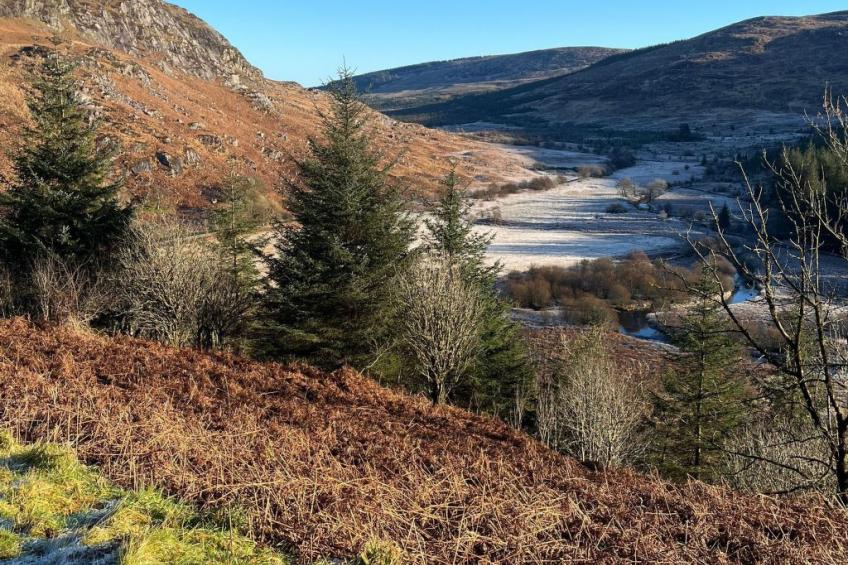 Rockpool Cottage - foto 31