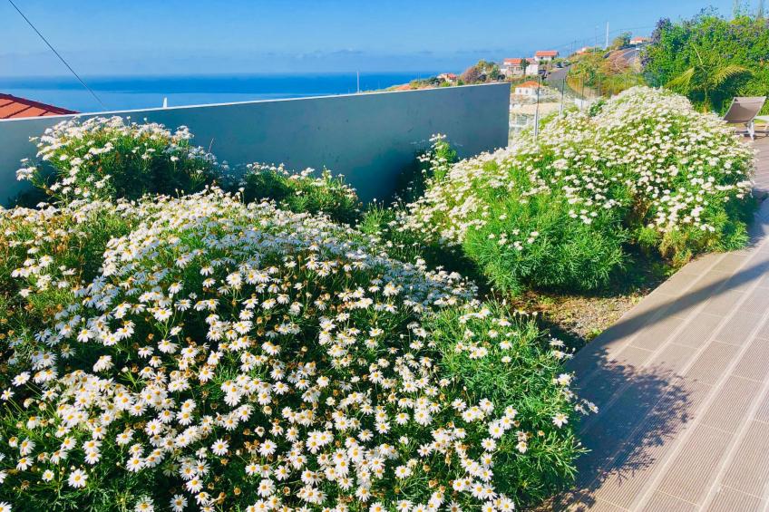 "Villa Pinheira II" - foto 23