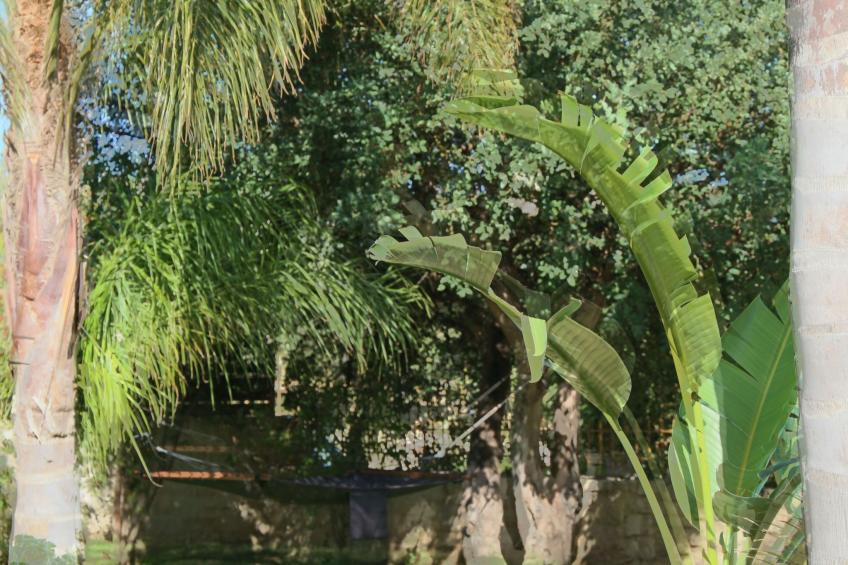 Ferienvilla mit Garten, Grill und Terrasse - foto 12