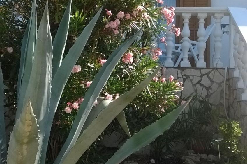 Apartment mit Meerblick - foto 23