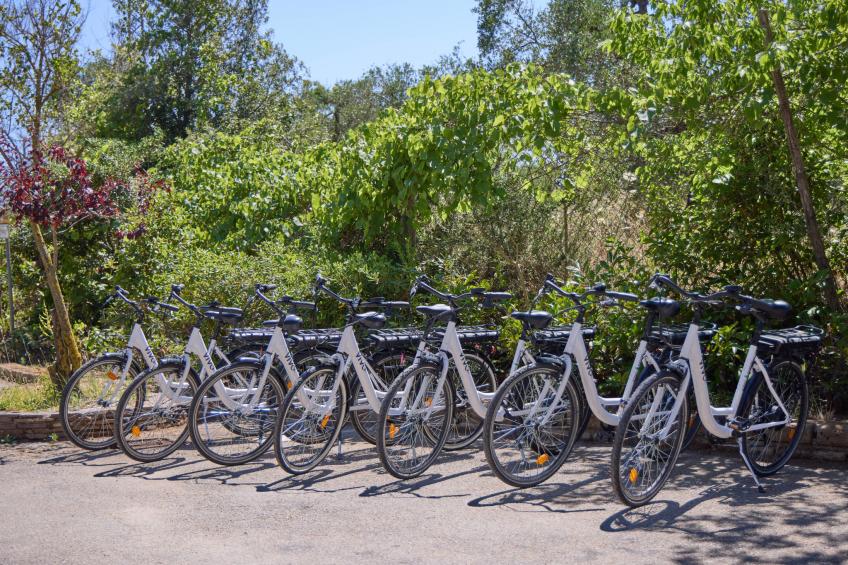 Costa D'Argento - foto 25