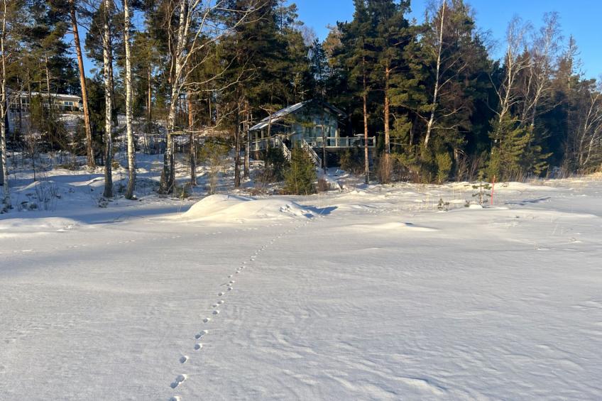 Sjöboda - foto 4