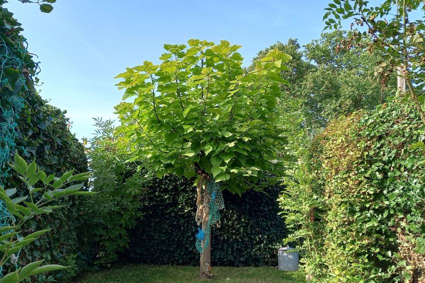 Gemütliches Mobilheim mit 3 Schlafzimmern - foto 16