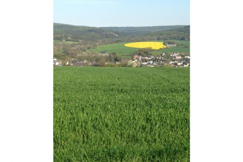 3794 - foto 18
