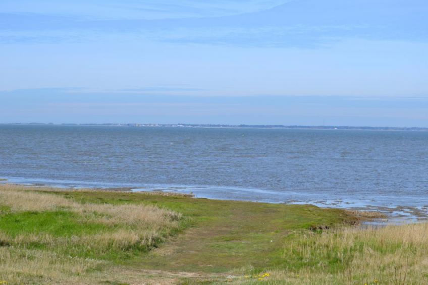 "Adine" in Western Jutland - foto 5