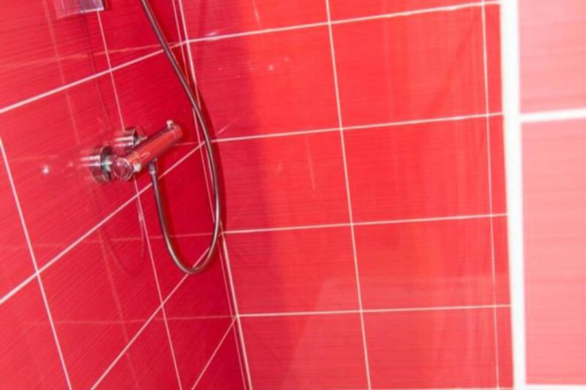 Gîte de France Gîte " la prairie" 4 épis - foto 34