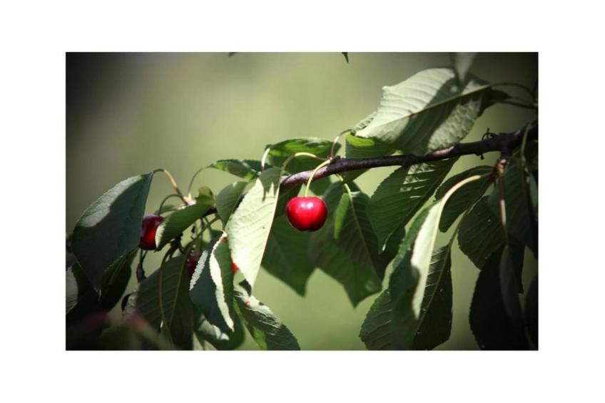 Appartamento 4 - foto 22