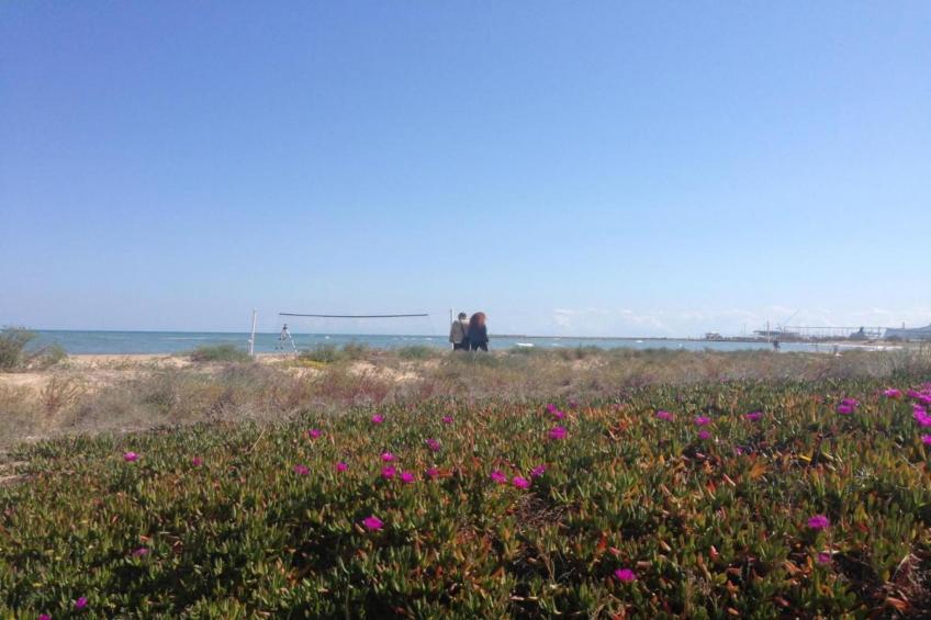 Cascadas de la Marina - foto 22