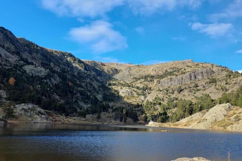 Le Carina N°4 - ST4 - foto 17