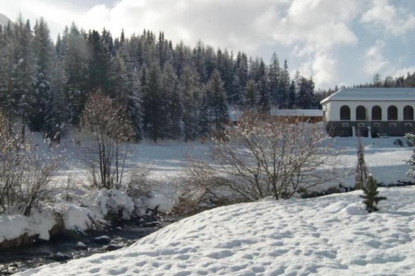 Chesa Piz d'Esan - foto 15