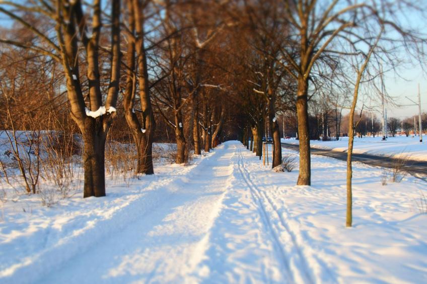 Wohnung in Brzeźno mit Großem Garten - foto 59