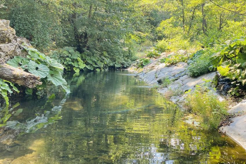 Villa in Borgomaro mit privatem Parkplatz - foto 38