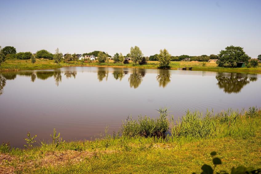 Vakantiehuisje 19 - foto 32