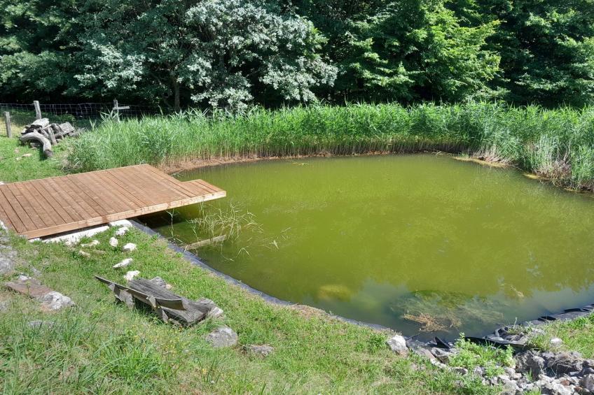 Hidden Authentic Haven Apartments - One Bedroom Apartment with Terrace - foto 28