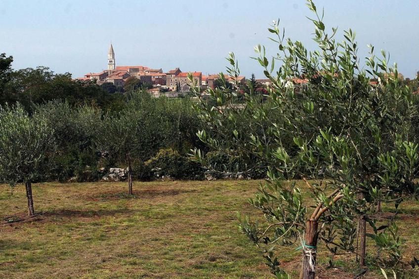 Ferienvilla mit Garten, Grill und Terrasse - foto 30