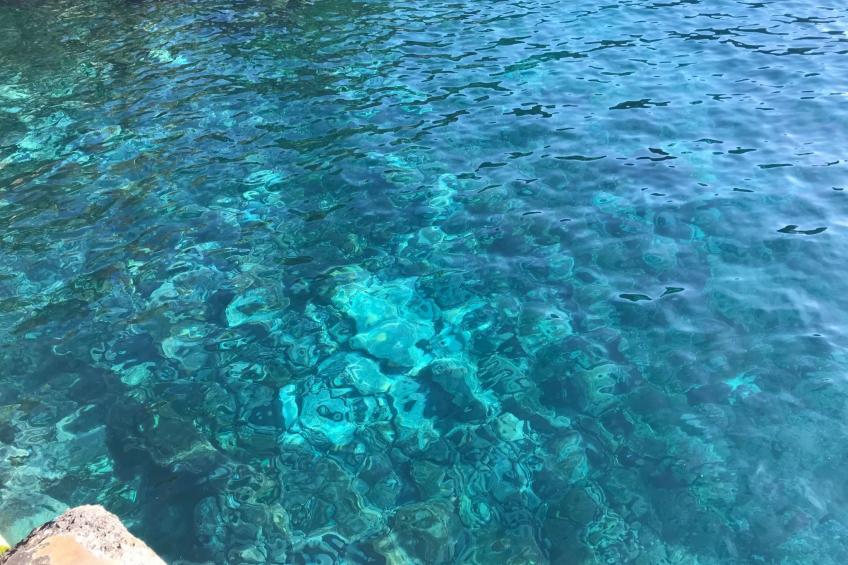 mit Blick auf das Wasser - foto 33