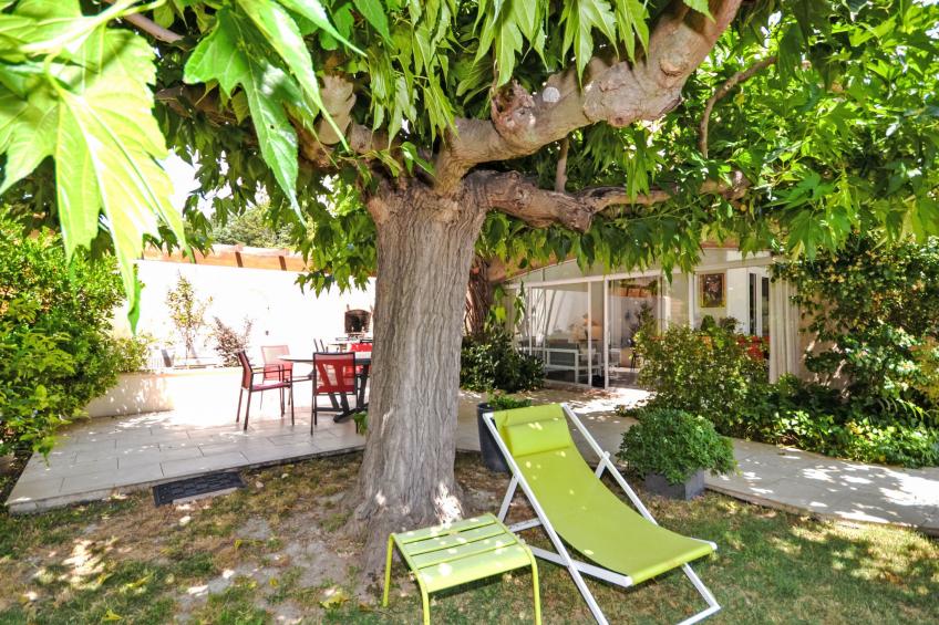 Les Angevines - foto 43