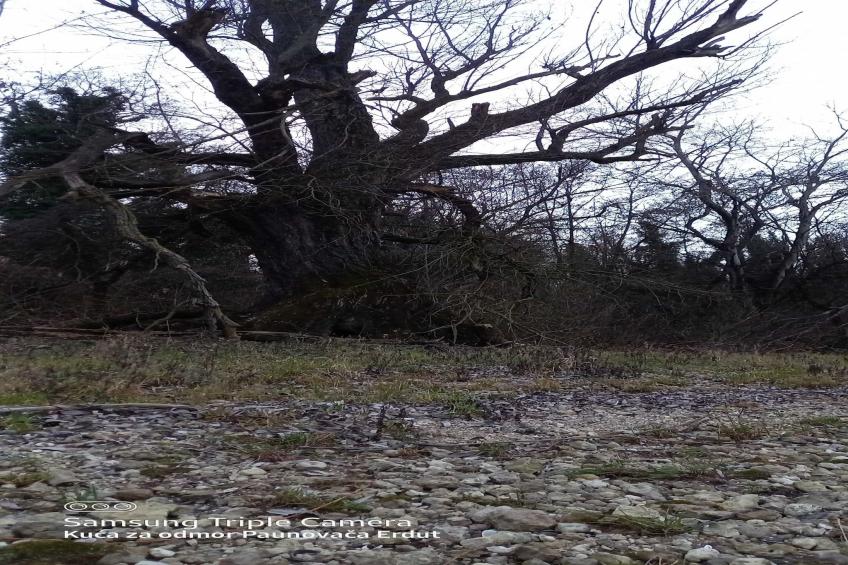 Holiday Home Paunovaca - Two Bedroom Holiday Home - foto 22