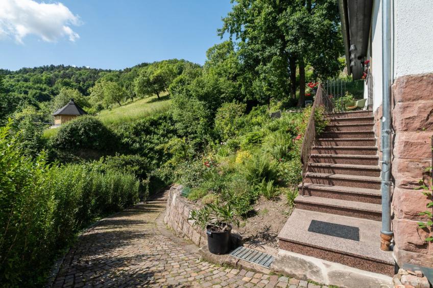 Schwarzwald Königin - foto 14