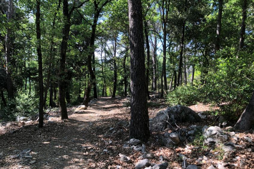 Zypressen, ein Haus im Wald an der ligurischen Riviera - foto 41