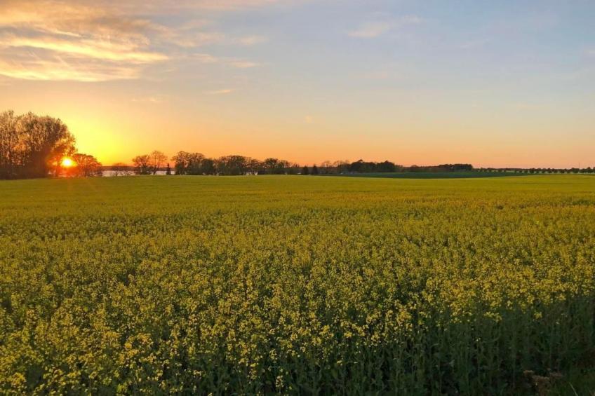 Müritz Ferienhaus - foto 47