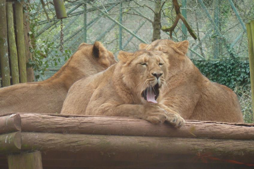 Appartement in Torquay mit Terrasse und Garten - foto 28