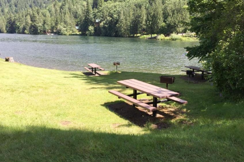 Lakeside Real Log Cabin mit privatem Dock, Haustiere OK - foto 30
