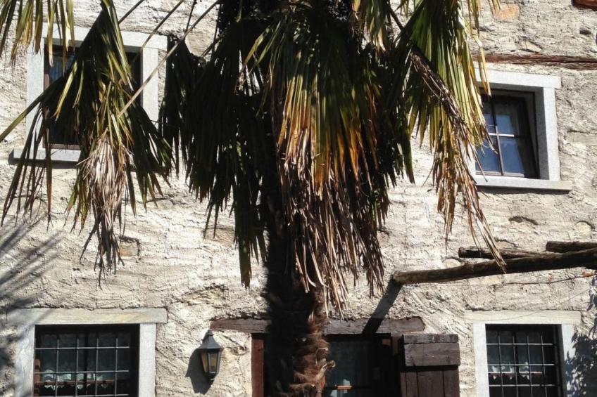 Ursprüngliches, stilvolles Rustico - foto 2