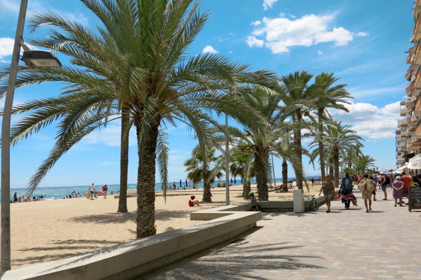 Mi Capricho - foto 42