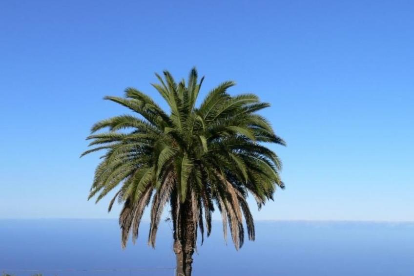 Nettes Ferienhaus in Tijarafe mit Privatem Pool und Panoramablick - foto 33