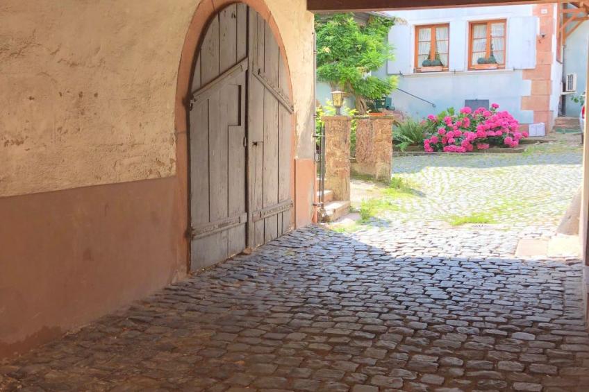 "Chez l'Alsacien" - foto 15