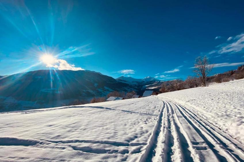 T. DU MOREL A N°25 - 2P5 - foto 23